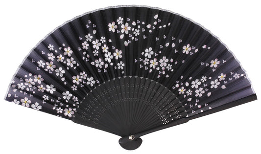 Sensu (a folding fan) cherry blossoms black